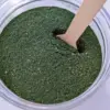 Organic Nutritional Supplement, Spirulina Greens, Plant Powder, Superfood Supplement, Nutrition, Health & Wellness, Cruelty-Free! (2 oz)